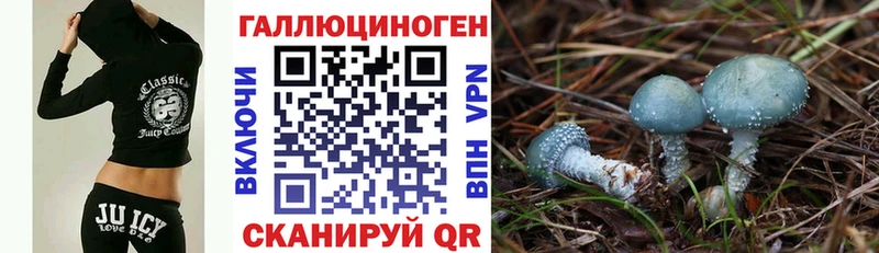 mega ONION  Ивдель  Псилоцибиновые грибы MAGIC MUSHROOMS 